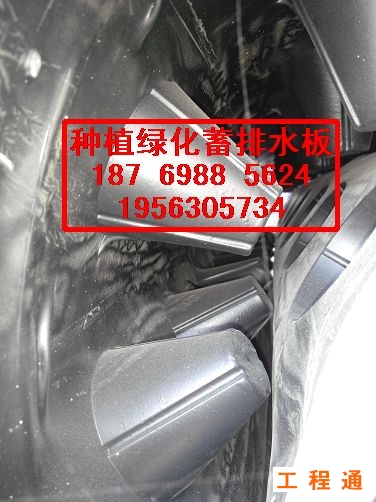 41998.7313758681_IMG_20141118_100038