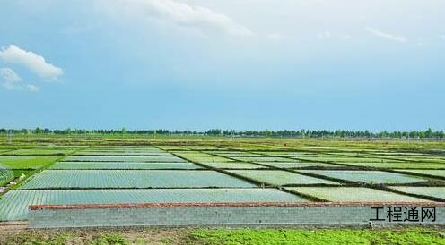 崇左市旱改水工程實(shí)施方案