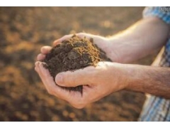 廣西做土壤監測的公司-土壤監測的工作內容