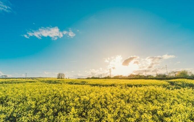 竣工環(huán)境保護驗收報告怎么寫