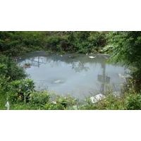 百色、玉林哪家公司能做農村生活污水治理規劃？