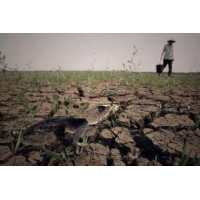 廣西2019年土壤污染防治情況評估考核結果公示