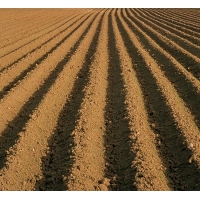 廣西做建設(shè)占用耕地耕作層土壤剝離再利用實(shí)施方案的公司