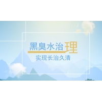 承接廣西排污口論證報告_整治黑臭水體技術方案