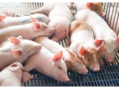 養豬場需要辦理水土保持方案嗎_廣西水土保持方案編制單位