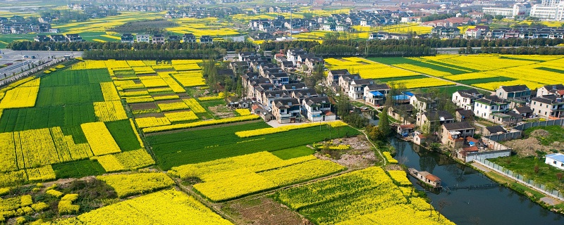 廣西征地社會(huì)穩(wěn)定風(fēng)險(xiǎn)評(píng)估應(yīng)該在哪個(gè)階段開展工作？