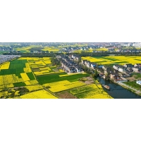 廣西征地社會(huì)穩(wěn)定風(fēng)險(xiǎn)評(píng)估應(yīng)該在哪個(gè)階段開(kāi)展工作？