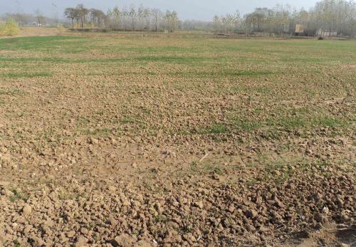 廣西土地復墾方案編制要求有哪些