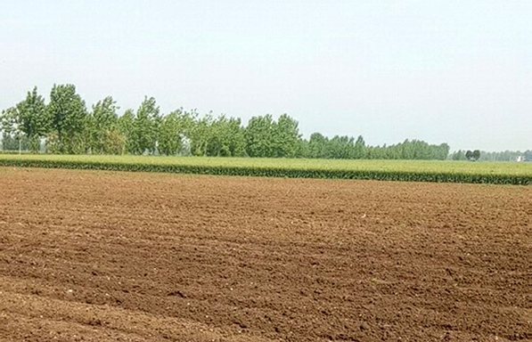 廣西土地整治項目可行性研究報告編制