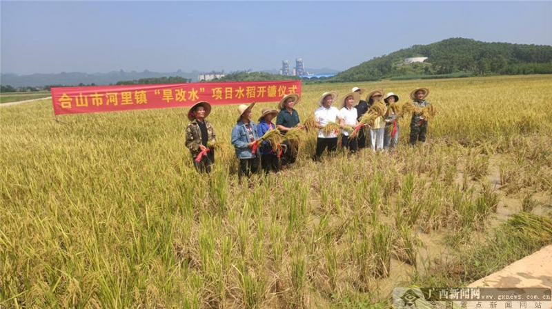 廣西來賓市旱改水項目初見成效，改出農民新希望