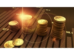 項目投資風(fēng)險評定（評審）報告的格式和內(nèi)容