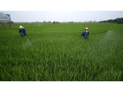 湖南土地整治項目申報立項應符合哪些條件？提交哪些材料？