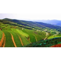 房地產(chǎn)項目水土保持監(jiān)測季度報告表資料清單_廣東專業(yè)水保編制