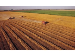 外省的甲級土地規(guī)劃機(jī)構(gòu)在廣東省從業(yè)需要在省廳備案嗎？