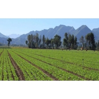 哪些損毀類型的土地需要編制復(fù)墾方案？湖北土地復(fù)墾方案