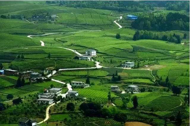 農業綜合開發項目