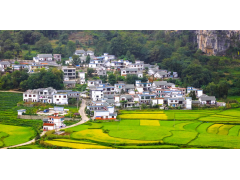 農(nóng)村一二三產(chǎn)業(yè)融合發(fā)展項(xiàng)目是什么？廣東產(chǎn)業(yè)發(fā)展規(guī)劃