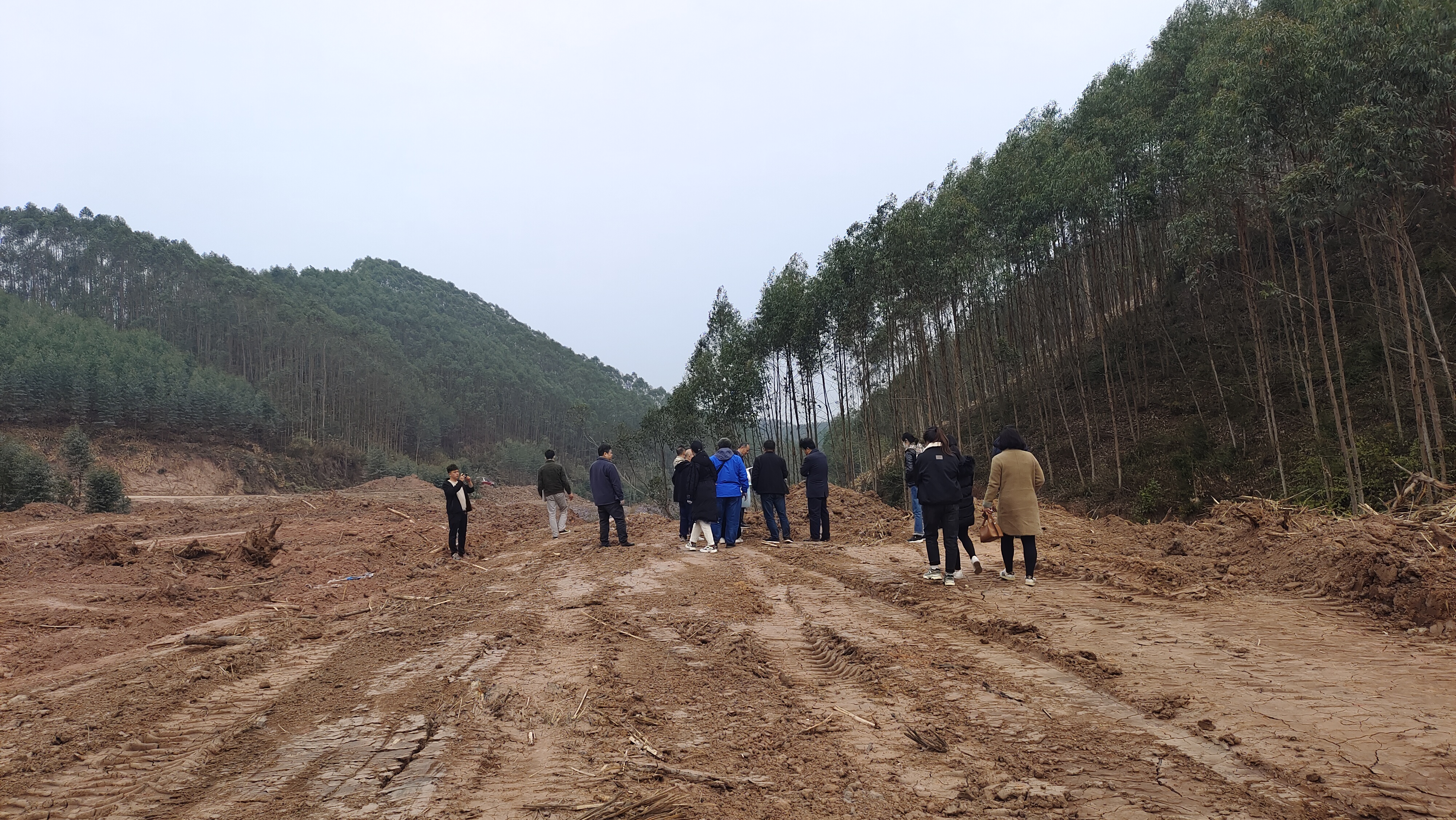 土地復(fù)墾現(xiàn)場(chǎng)踏勘