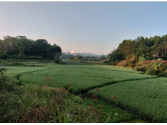 什么是土地復(fù)墾費(fèi)？廣西做土地復(fù)墾方案的公司