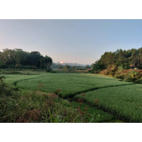 什么是土地復(fù)墾費？廣西做土地復(fù)墾方案的公司