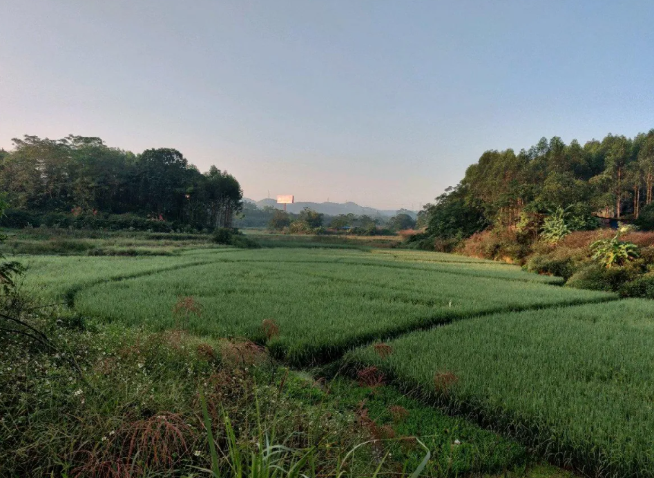 廣西土地復(fù)墾2