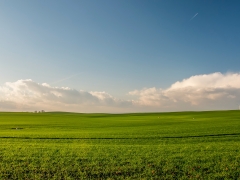 超詳細！新《土地管理法》逐條解讀